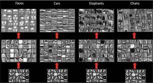 progression from low-level to high-level features in a CNN.